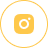 ins